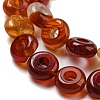 Natural Red Agate Beads Strands G-P536-A06-01-4