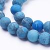 Dyed Natural Map Stone/Picasso Stone/Picasso Jasper Beads Strands G-F520-52-6mm-3