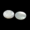 Carved Natural White Shell Cabochons SSHEL-N038-06B-03-2