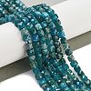 Natural Blue Apatit Beads Strands G-H042-A12-02B-2