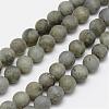 Natural Labradorite Frosted Bead Strands G-O155-04B-10mm-1