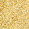 Glass Seed Beads X-SEED-S042-13A-02-3