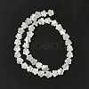 Natural White Shell Beads Strands SHEL-F003-07-5