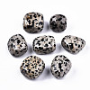 Natural Dalmatian Jasper Beads G-N332-012-2
