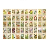 100Pcs 50 Styles Autumn Themed Stamp Decorative Stickers STIC-PW0002-013C-1