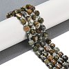 Natural Rhyolite Jasper Beads Strands G-O201B-122F-1