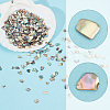 AHADERMAKER 1 Bags Abalone Shell Flakes Cabochons SHEL-GA0001-17A-4