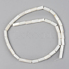 Natural Freshwater Shell Beads Strands X-SSHEL-R048-006B-2