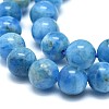 Natural Apatite Beads Strands G-F674-04-6mm-3