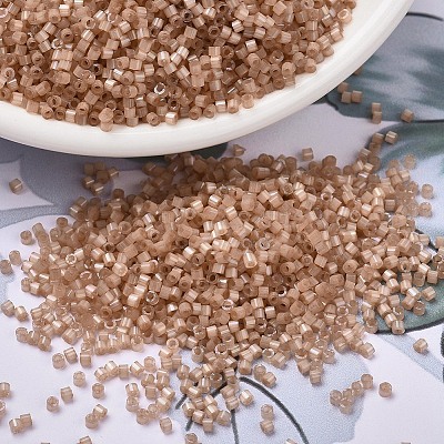 MIYUKI Delica Beads SEED-X0054-DB1803-1