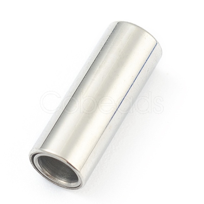 Tarnish Resistant 304 Stainless Steel Magnetic Clasps with Glue-in Ends STAS-O148-06D-1