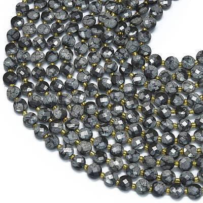 Natural Snowflake Obsidian Beads Strands G-K389-B65-01-1