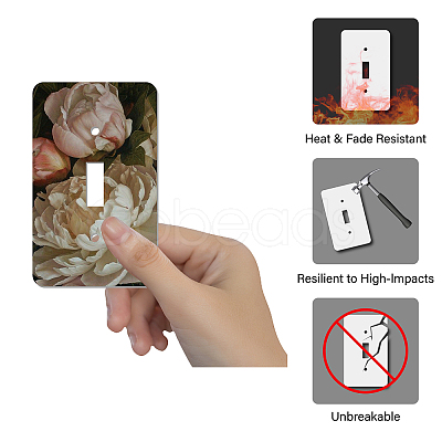 CREATCABIN 2Pcs Acrylic Light Switch Plate Outlet Covers DIY-CN0001-93K-1