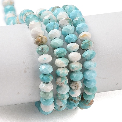 Natural Howlite Beads Strands G-H025-03D-09-1