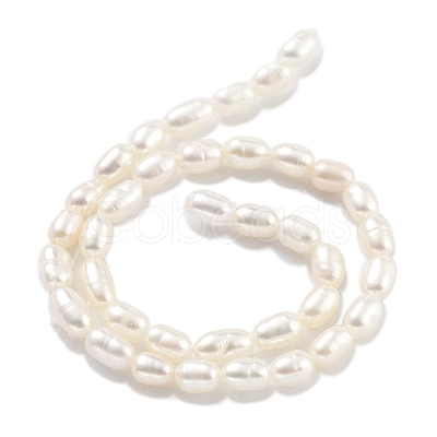 Natural Cultured Freshwater Pearl Beads Strands PEAR-P062-01H-1