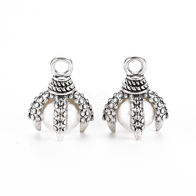 Tibetan Style Alloy Charms PALLOY-S120-249C-RS-1