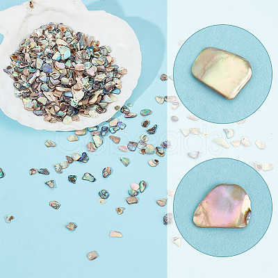 AHADERMAKER 1 Bags Abalone Shell Flakes Cabochons SHEL-GA0001-17A-1