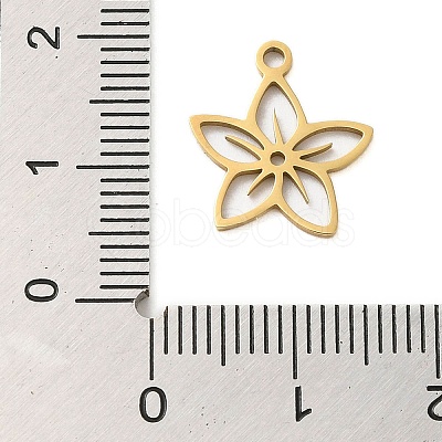 304 Stainless Steel Charms STAS-S123-01G-09-1