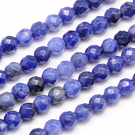 Natural Sodalite Beads Strands X-G-G545-16-1