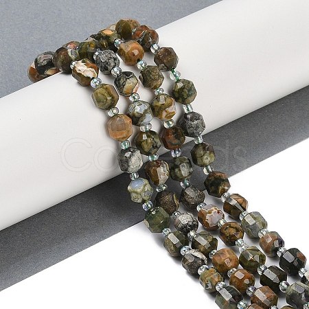 Natural Rhyolite Jasper Beads Strands G-O201B-122F-1