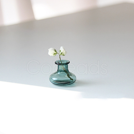 Transparent Miniature Glass Vase Bottles BOTT-PW0006-10F-1