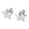 Non-Tarnish 304 Stainless Steel Ear Studs, Star, Stainless Steel Color, 12.5x13mm