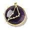 Constellation Natural Amethyst Pendants, Brass Flat Round Charms, Golden, Capricorn, 32x30x9mm, Hole: 2mm