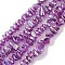 Spray Painted Glass Beads Strands, Chip, Medium Orchid, 2.5~6.5x3~10x4~12.5mm, Hole: 1mm, 33.86''(86cm)