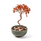 Natural Carnelian Chips Tree Decorations, Ceramic Bowl Base Copper Wire Feng Shui Energy Stone Gift for Home Desktop Decoration, 60~65x120~130mm