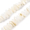 Natural Anomaly Freshwater Shell Beads Strands, Oval, Floral White, 2~4x6.5~8x3~4mm, Hole: 0.7mm, about 113~117pcs/strand, 14.76~15.04''(37.5~38.2cm)