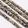 Natural Dalmation Jasper Beads Strands G-G551-03-1