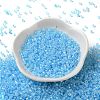 Glass Seed Beads SEED-S042-13A-13-2