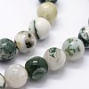 Natural Tree Agate Beads Strands X-G-I199-03-10mm-3