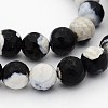 Natural Weathered Agate Faceted Round Beads Strands G-A134-02E-10mm-1