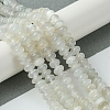 Natural White Moonstone Beads Strands G-A092-F02-02-2