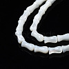 Natural Trochid Shell/Trochus Shell Beads Strands SSHEL-N034-122-B01-3