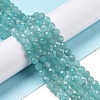 Natural Amazonite Beads Strands G-C009-A01-2