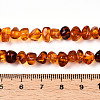 Natural Amber Beads Strands G-T138-235C-4