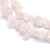 Natural Rose Quartz Beads Strands G-P332-63-2