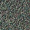 TOHO Round Seed Beads SEED-JPTR15-0707-2