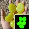 Resin Imitation Luminous Stone Display Decoration PW-WG93589-04-1