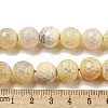 Faceted Natural Fire Crackle Agate Beads Strands G-F447-12mm-H02-5