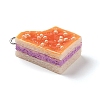 Resin Imitation Food Pendants FIND-U001-02D-2