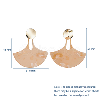 Cellulose Acetate(Resin) Dangle Stud Earrings EJEW-JE04076-1