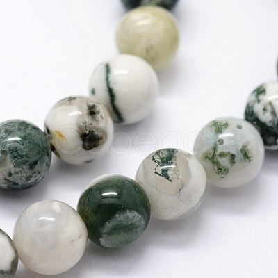 Natural Tree Agate Beads Strands X-G-I199-03-10mm-1