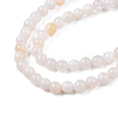 Natural Freshwater Shell Beads Strands X-BSHE-T009A-01B-1