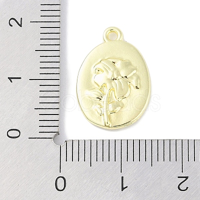 Rack Plating Spray Painted Alloy Pendants PALLOY-F018-14G-02-1