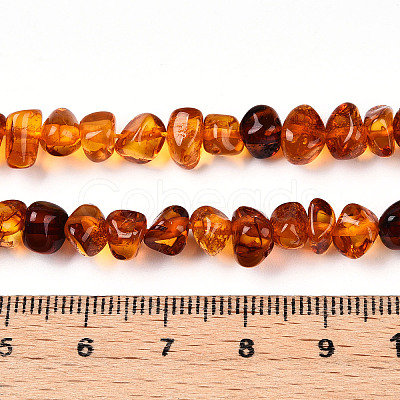 Natural Amber Beads Strands G-T138-235C-1