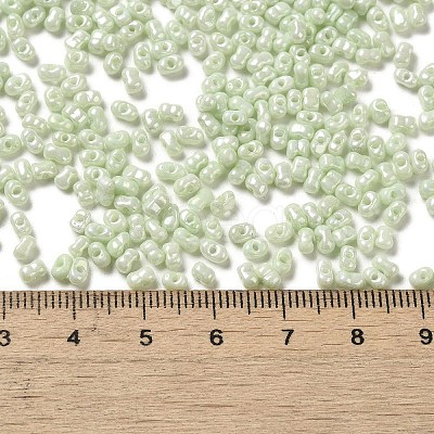 Glass Seed Beads SEED-K009-02A-09-1