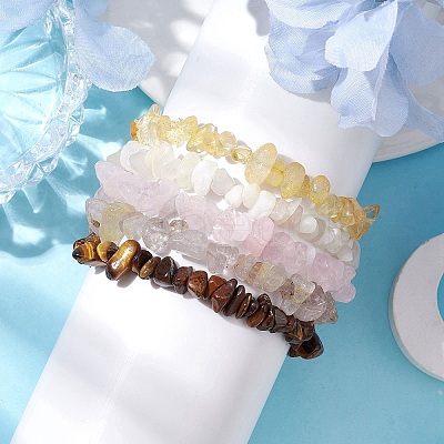 12 Constellation Natural Mixed Gemstone Chip Beaded Stretch Bracelets Sets for Women Men BJEW-JB10264-07-1